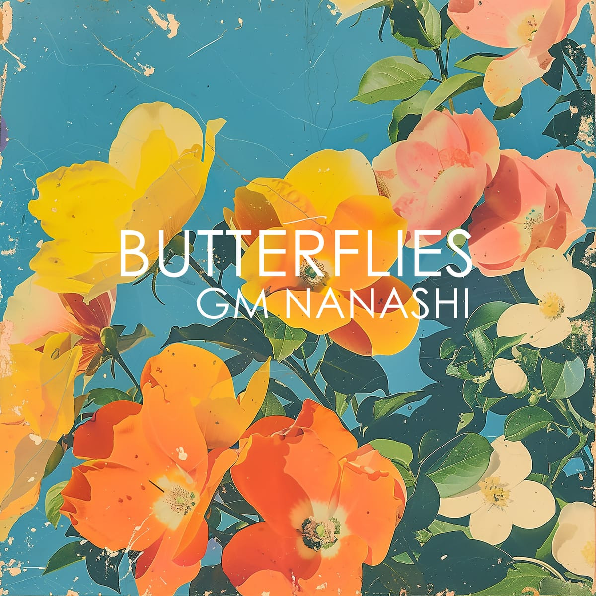 Butterflies – Available Now!